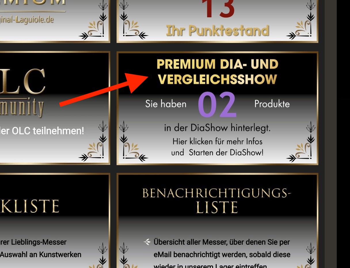 Premium-DiaShow Konzept bei original-laguiole.de