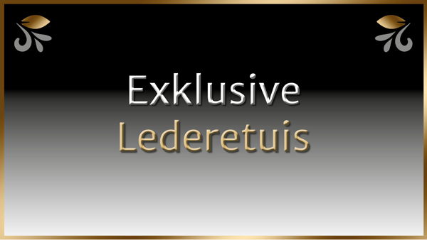 Exklusive Lederetuis